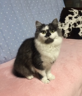 20141120meru.jpg