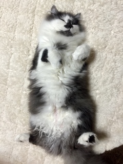 20150221.jpg