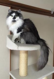 meru20150414.jpg